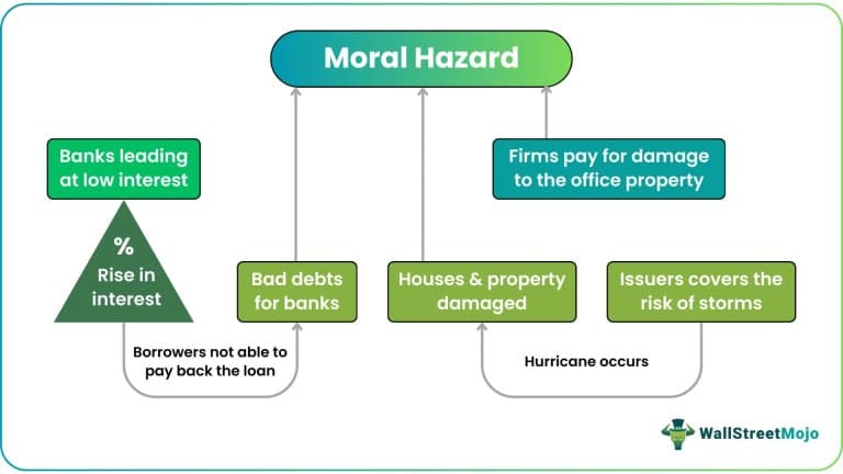 Adverse Selection and Moral Hazard: The Economic Forces That Shape Insurance Markets and Underwriting